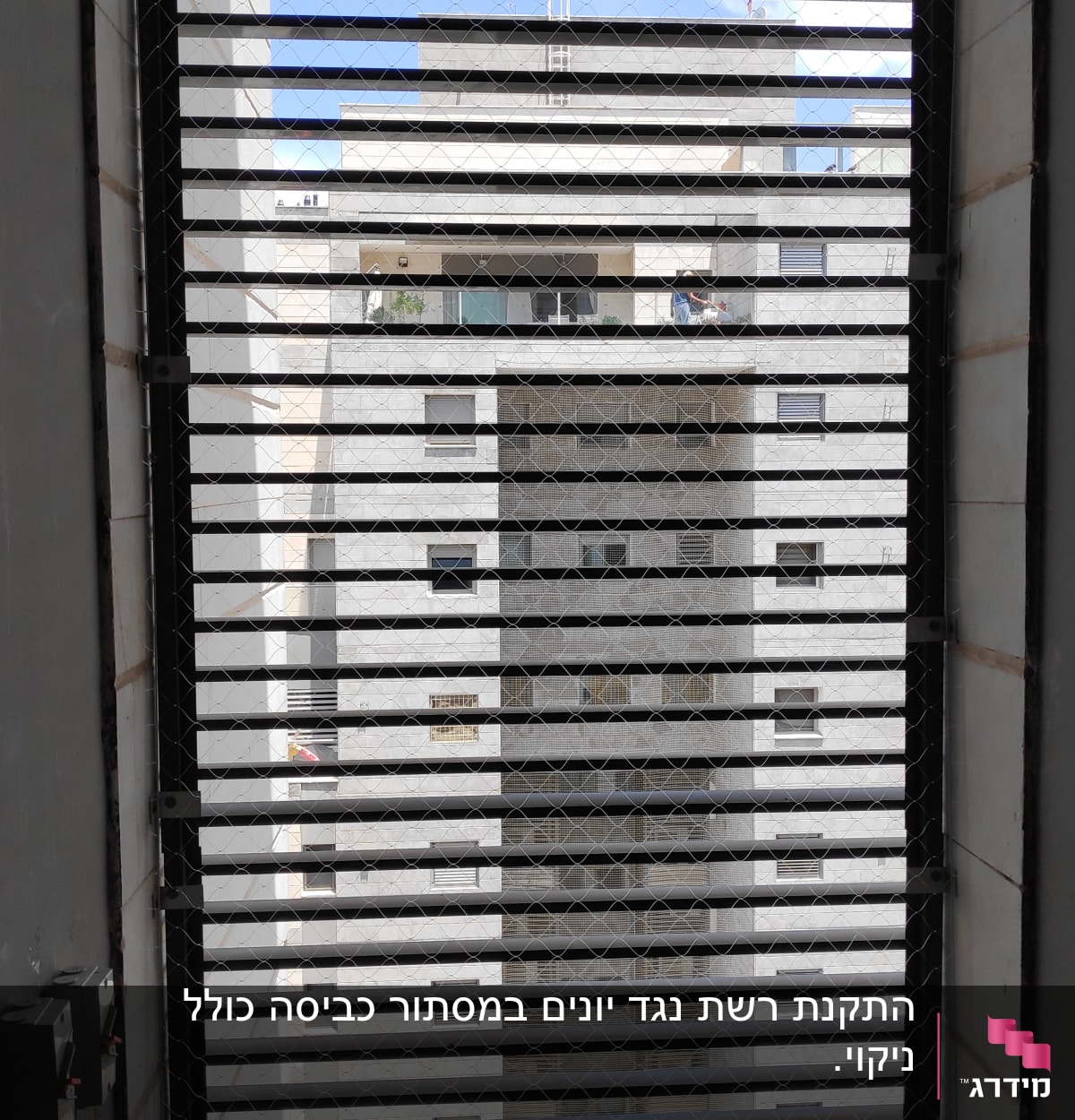 רשת מתכת על חלון למניעת כניסת יונים